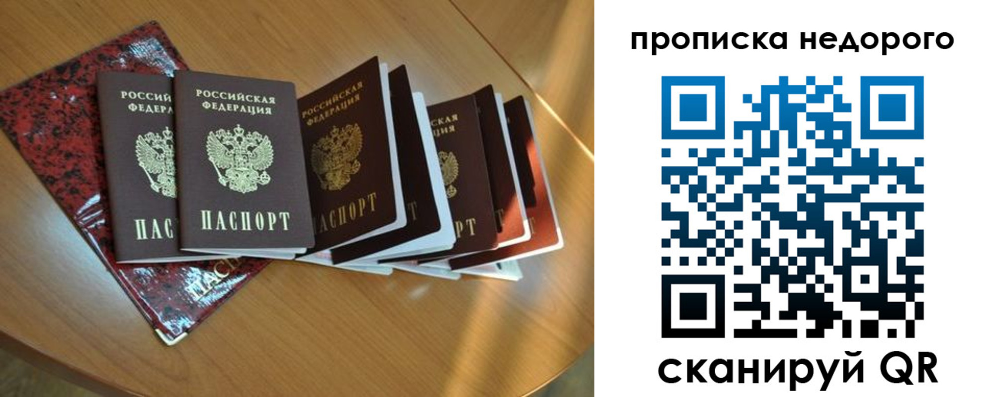 прописка штамп в Алексеевке